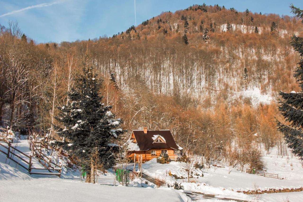Lesne Uroczysko Villa ชิสนา ภายนอก รูปภาพ