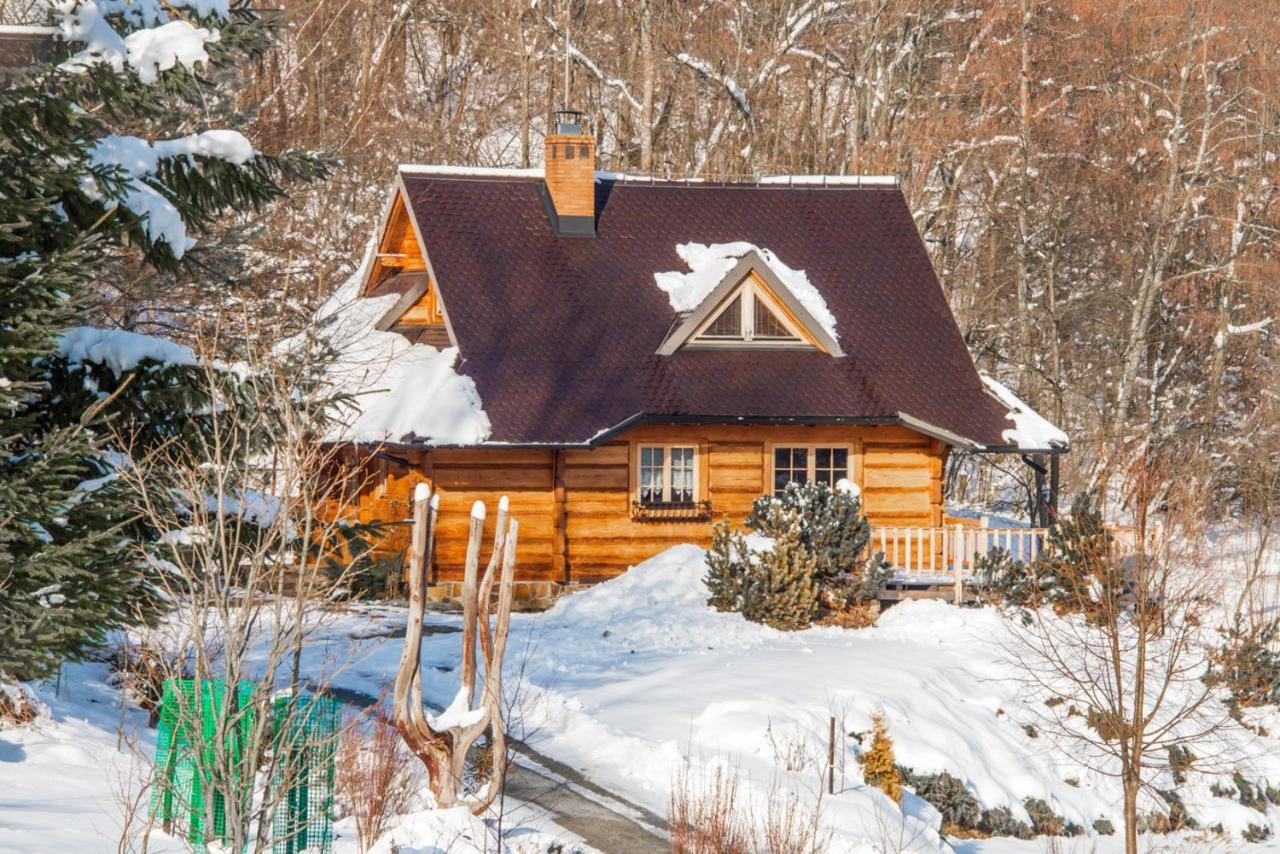 Lesne Uroczysko Villa ชิสนา ภายนอก รูปภาพ