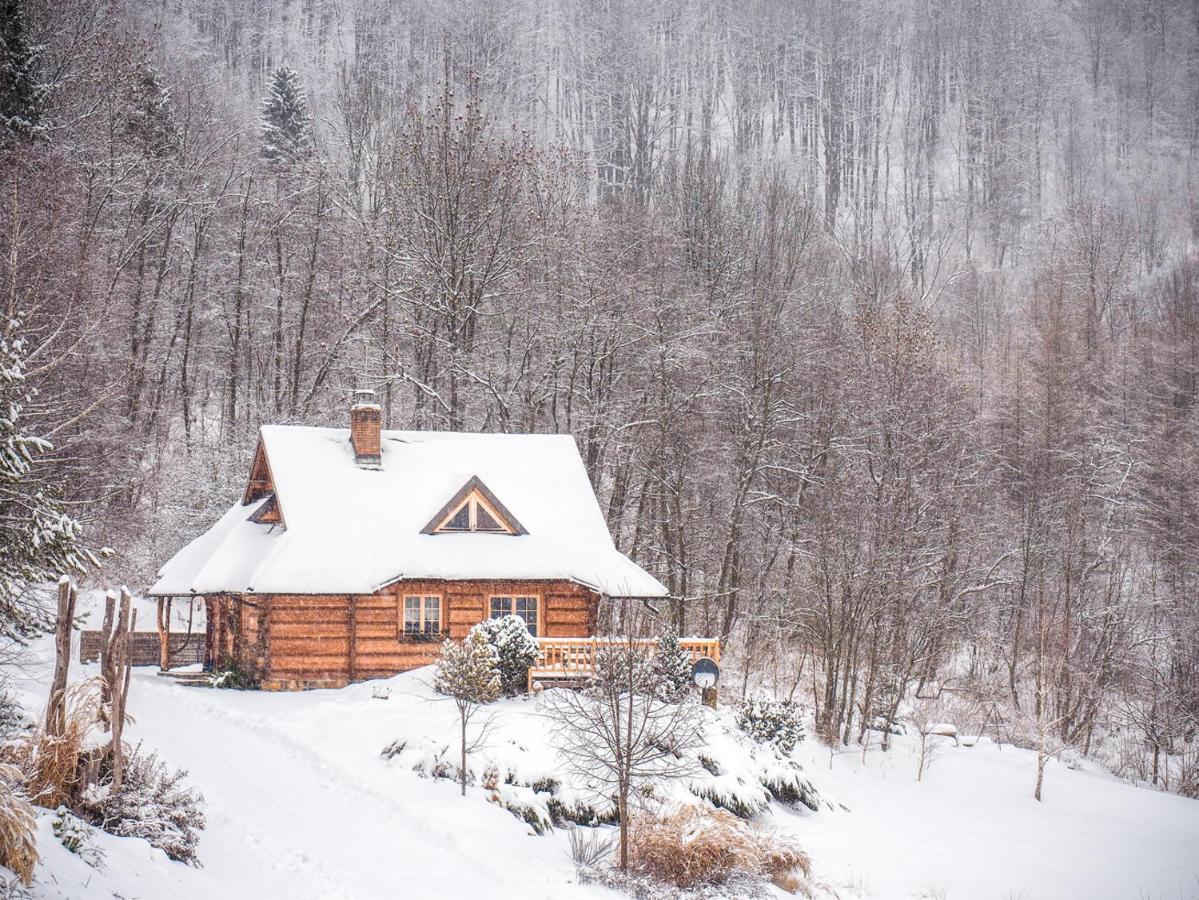 Lesne Uroczysko Villa ชิสนา ภายนอก รูปภาพ